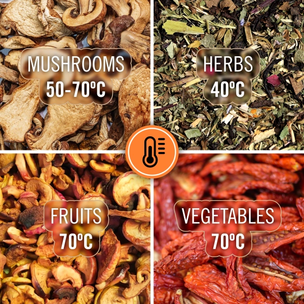 Suszone grzyby, owoce, warzywa i zioła za pomocą urządzenia Teesa TSA3033 300W z termoobiegiem