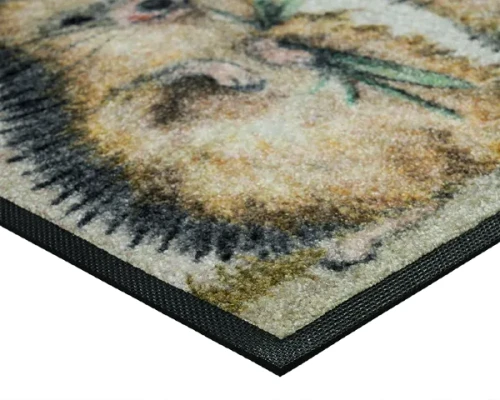 Wycieraczka pod drzwi 60 x 40 cm Jeże - detal