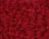 Zblizenie-na-czerwona-wycieraczke-do-butow-w-odcieniu-Regal-Red