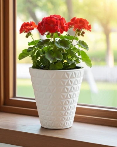 doniczka-diament-30-cm-biala-aranzacja-na-oknie