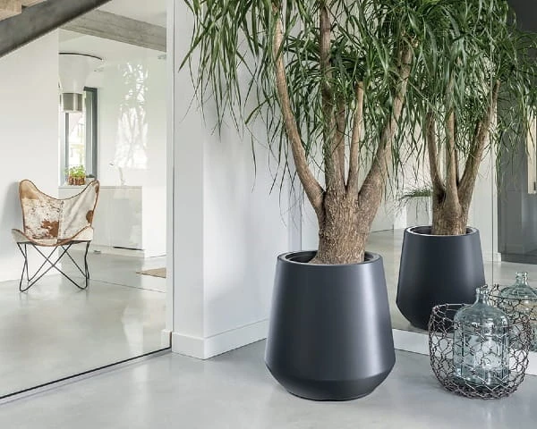 donica-mrozoodporna-32-litry-prosperplast-aranzacja