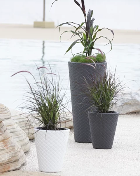 doniczki-okragle-prosperplast-matuba-slim-aranzacja-na-zewnatrz