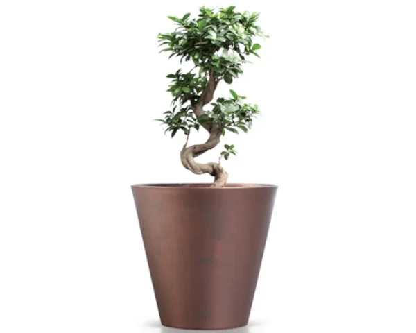 doniczka-rdzawa-prosperplast-tubus-corten-aranzacja-z-roslina