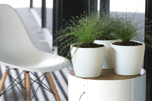 doniczka okragla 18,9 cm antracyt orient - aranzacja