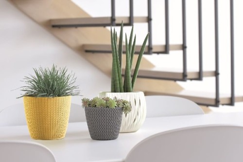 doniczka prosperplast wheaty aranzacja