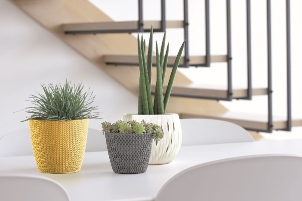 doniczka prosperplast wheaty aranzacja