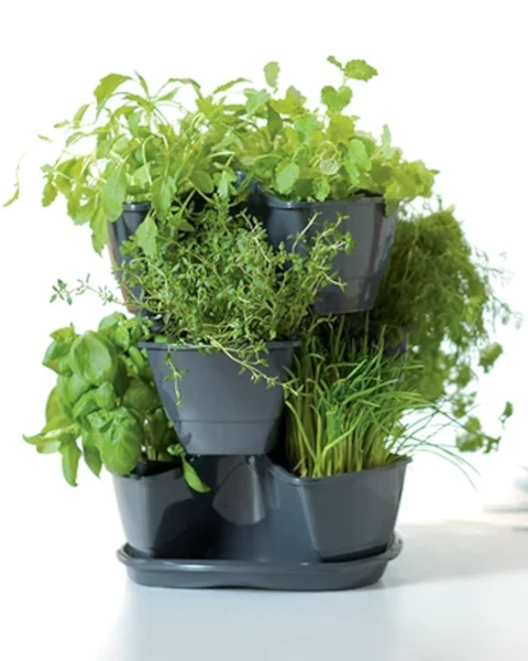 prosperplast coubi zestaw doniczek na ziola aranzacja w kuchni