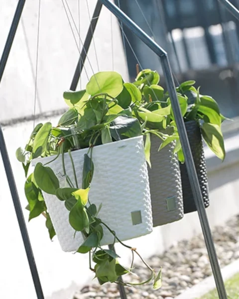 prosperplast doniczki wiszace rato w aranzacja w ogrodzie