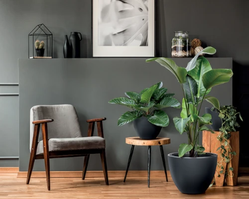 heos-donice-z-wkladem-prosperplast-prezentacja-w-salonie