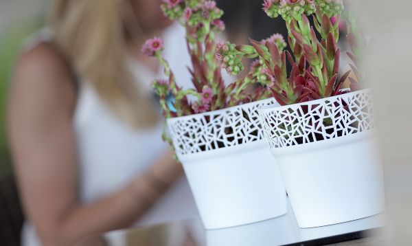 prosperplast oslonka na doniczke tree prezentacja