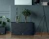 donica prosperplast furu case 77 cm prezentacja w mieszkaniu