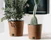 prosperplast doniczka ozdobna 25 cm furu round eco wood aranzacja na zewnatrz
