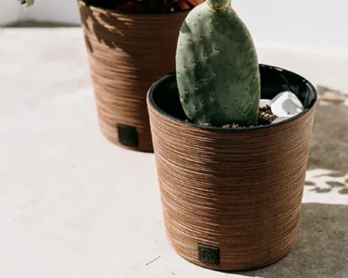 doniczka dekoracyjna 30 cm prosperplast furu round eco wood prezentacja z roslina