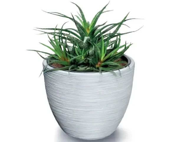 prosperplast furu barrel donica okragla 57 cm szara aranzacja z roslina