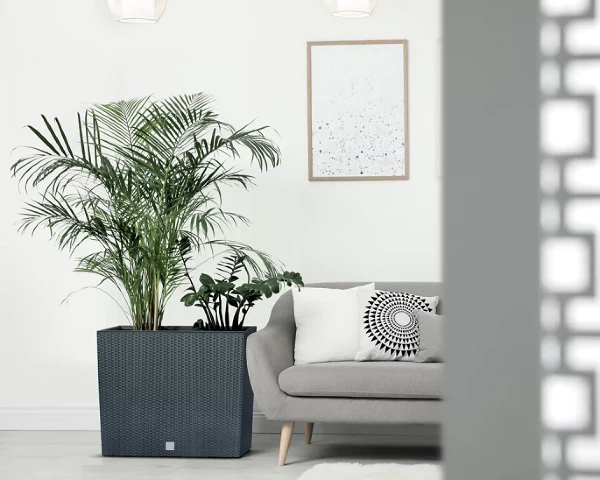 prosperplast rato donica z imitacja ratanu prezentacja w domu