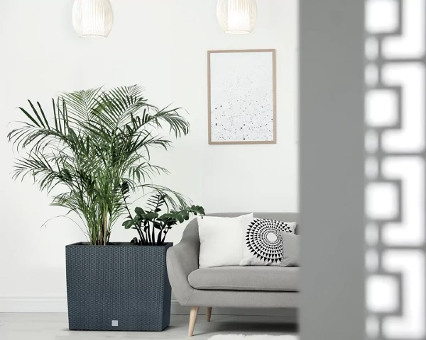 donica z imitacja ratanu prosperplast rato case prezentacja w salonie