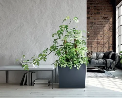 prosperplast urbi case t donica prostokatna aranzacja w salonie