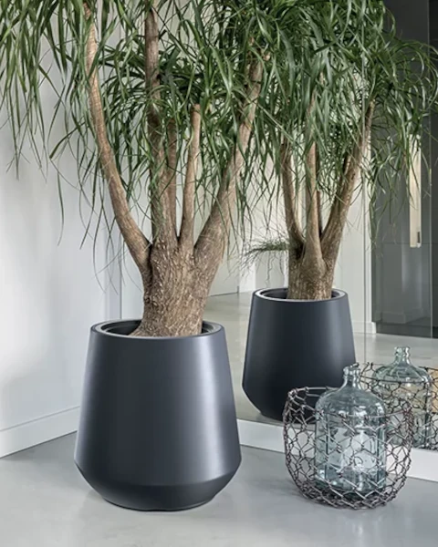 donica dekoracyjna prosperplast heos aranzacja w domu