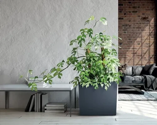 prosperplast-urbi-case-t-donica-dluga-aranzacja-w-domu