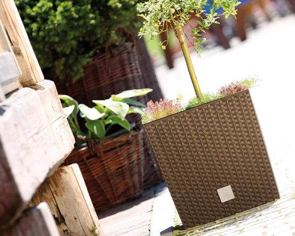 prosperplast rato low donica ozdobna aranzacja na zewnatrz