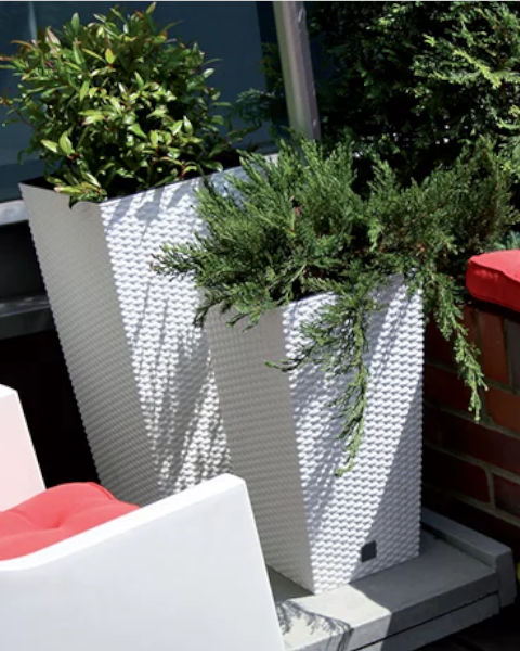 prosperplast-rato-square-donica-wysoka-biala-kompozycja-z-krzewami