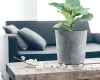 prosperplast urbi round beton effect donica z wkladem - aranzacja w salonie