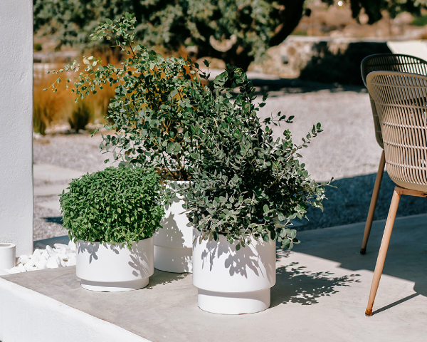 prosperplast heos donica mrozoodporna z wkladem aranzacja na tarasie