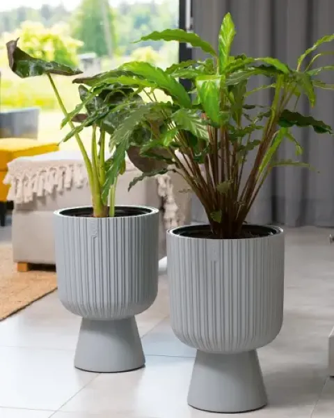 form plastic keli mika donice dekoracyjne prezentacja w domu