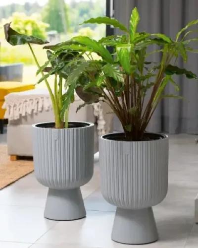 form plastic keli mika doniczki ozdobne prezentacja w domu