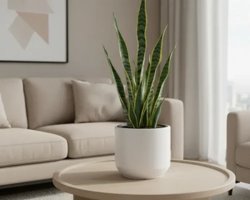 donica-okragla-biala-prosperplast-heos-aranzacja-w-salonie