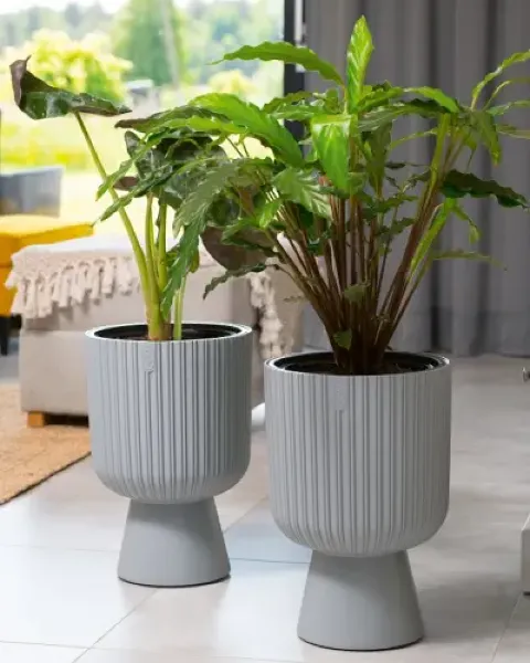 donice ozdobne form plastic keli mika prezentacja w domu