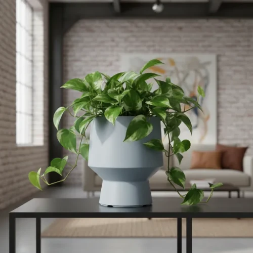 prosperplast-heos-donica-kielich-szara-aranzacja-z-epipremnum