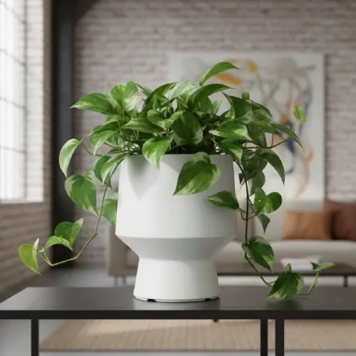 prosperplast-heos-donica-kielichowa-do-roslin-ozdobnych-aranzacja-w-salonie