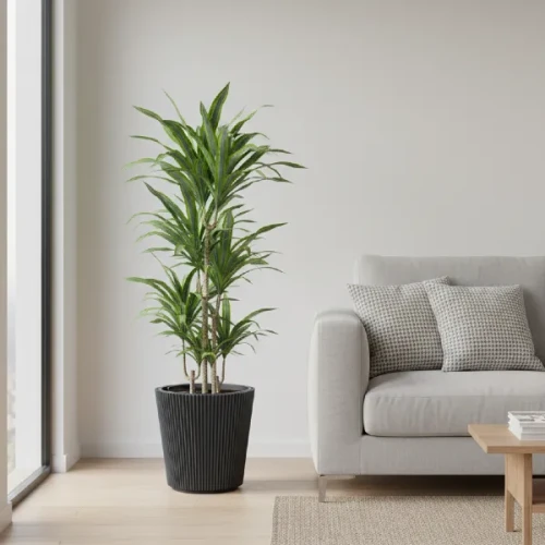 prosperplast-milly-doniczka-ozdobna-antracyt-aranzacja-w-salonie