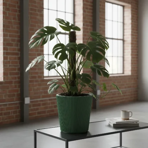 prosperplast-milly-doniczka-zielona-aranzacja-z-roslina