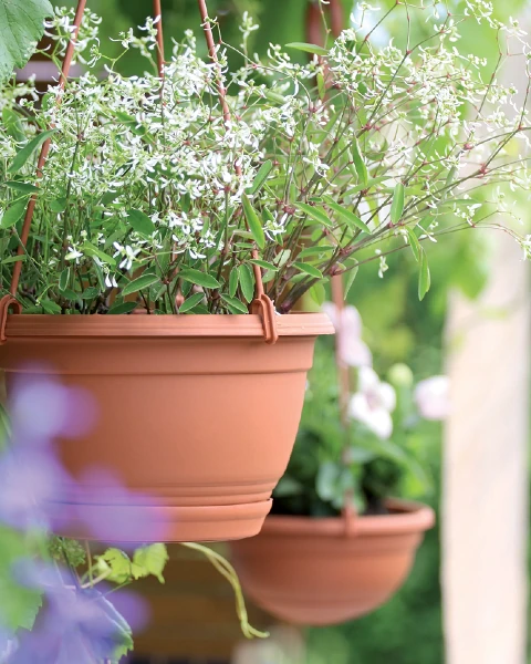 prosperplast agro doniczka wiszaca aranzacja na zewnatrz