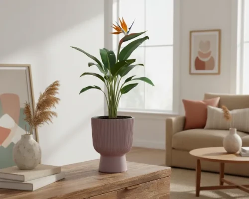 donica kielichowa milly 8,5l bordowa prosperplast - prezentacja w salonie