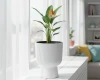 donica kielichowa milly 8,5l biala prosperplast - prezentacja w salonie