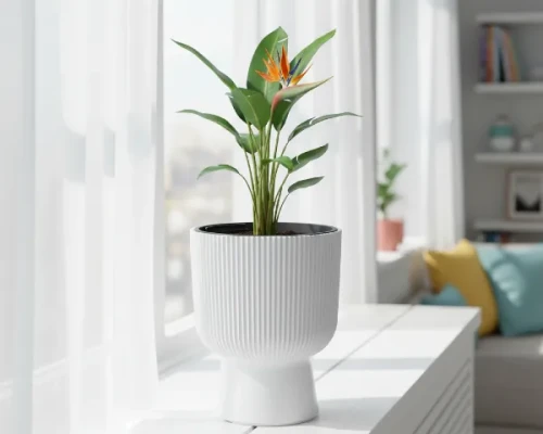 donica kielichowa milly 8,5l biala prosperplast - prezentacja w salonie