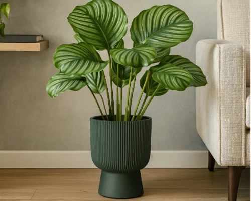 doniczka-okragla-wysoka-milly-18l-zielona-z-wkladem-prosperplast