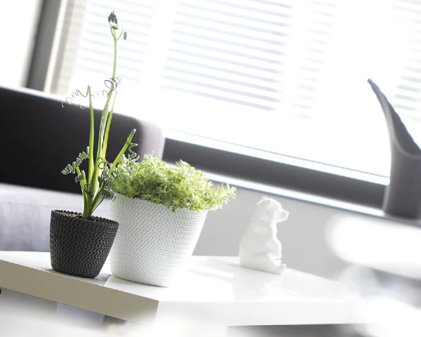 stylowe doniczki prosperplast splofy aranzacja na stole