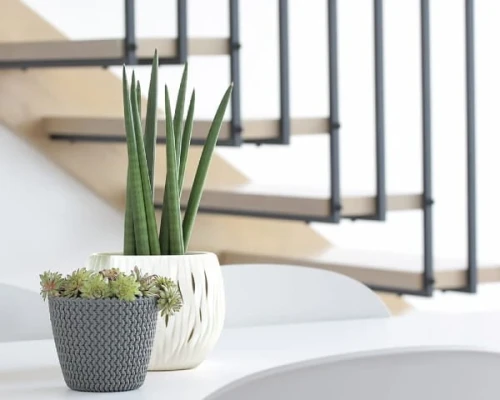 prosperplast splofy doniczki dekoracyjne prezentacja w domu