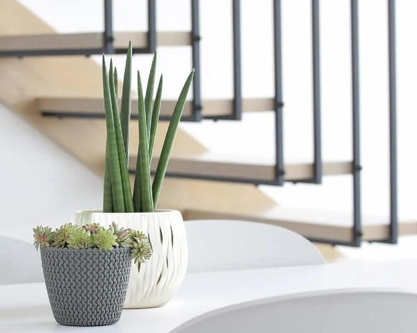 prosperplast splofy doniczki dekoracyjne prezentacja w domu