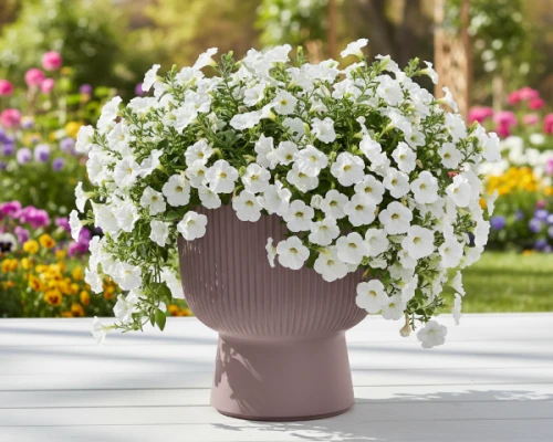 donica-wysoka-milly-39-cm-marsala-prosperplast-prezentacja-w-ogordzie