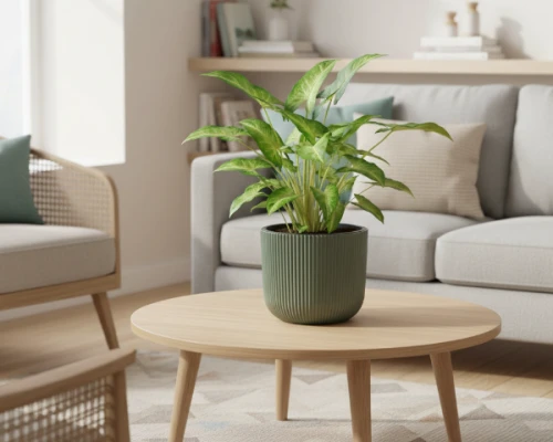 doniczka-okragla-milly-24-cm-zielona-prosperplast-aranzacja-w-salonie