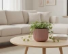 doniczka-okragla-milly-24-cm-marsala-prosperplast-aranzacja-w-salonie.webp