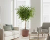 doniczka-okragla-milly-30-cm-marsala-prosperplast-aranzacja-w-salonie