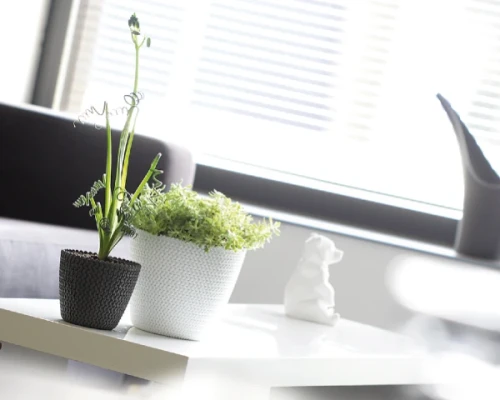 stylowe doniczki prosperplast splofy aranzacja na stole