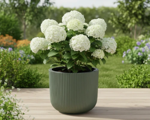 donica-okragla-milly-14l-zielona-pinia-prosperplast-prezentacja-w-ogrodzie