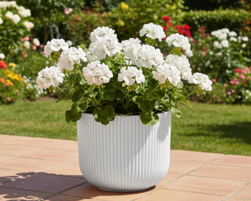 donica-ogrodowa-milly-30-cm-biala-prosperplast-prezentacja-na-tarasie